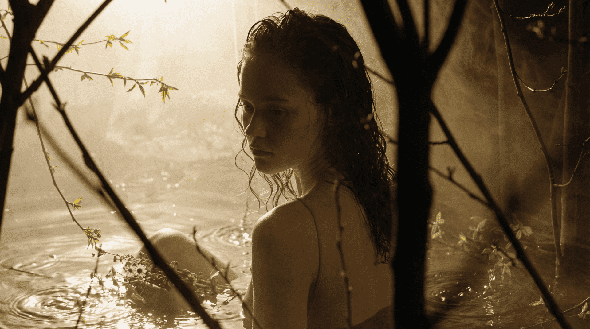 Баня «Таёжная»